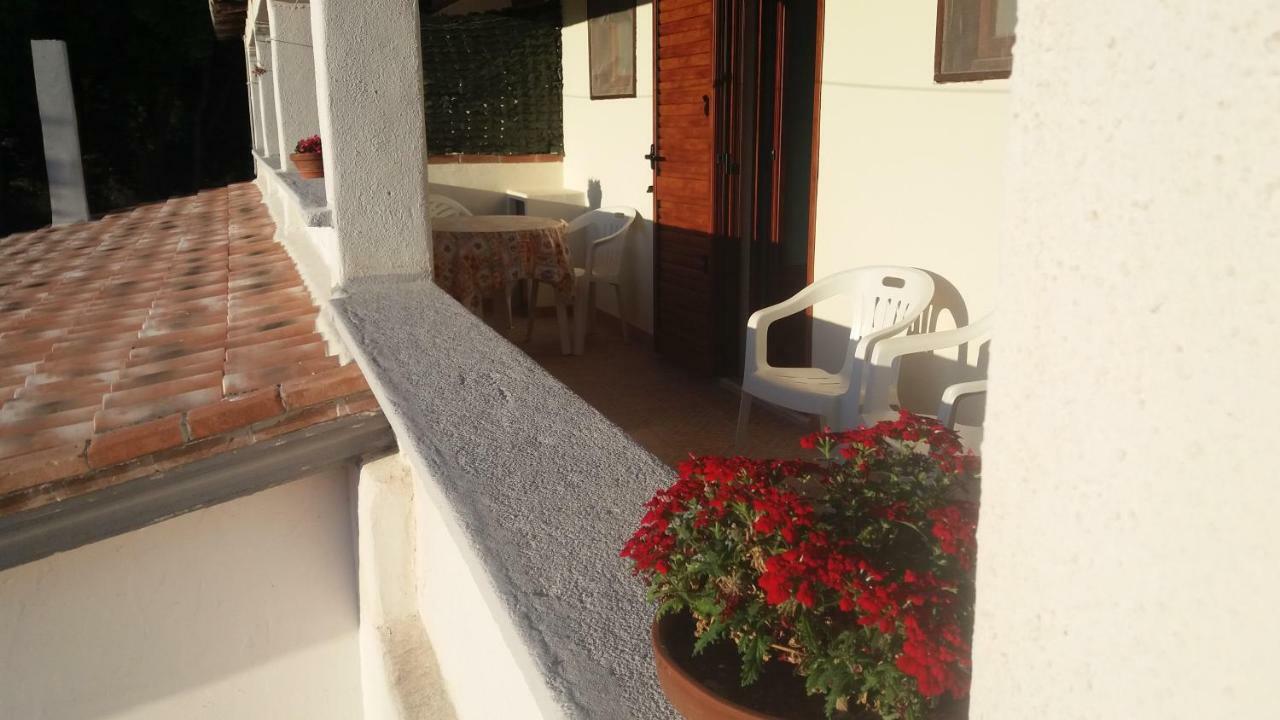 Pensjonat Casa Lucia Campagna Relax Dorgali Zewnętrze zdjęcie