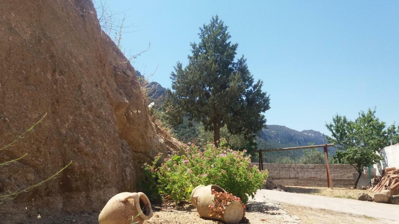 Pensjonat Casa Lucia Campagna Relax Dorgali Zewnętrze zdjęcie