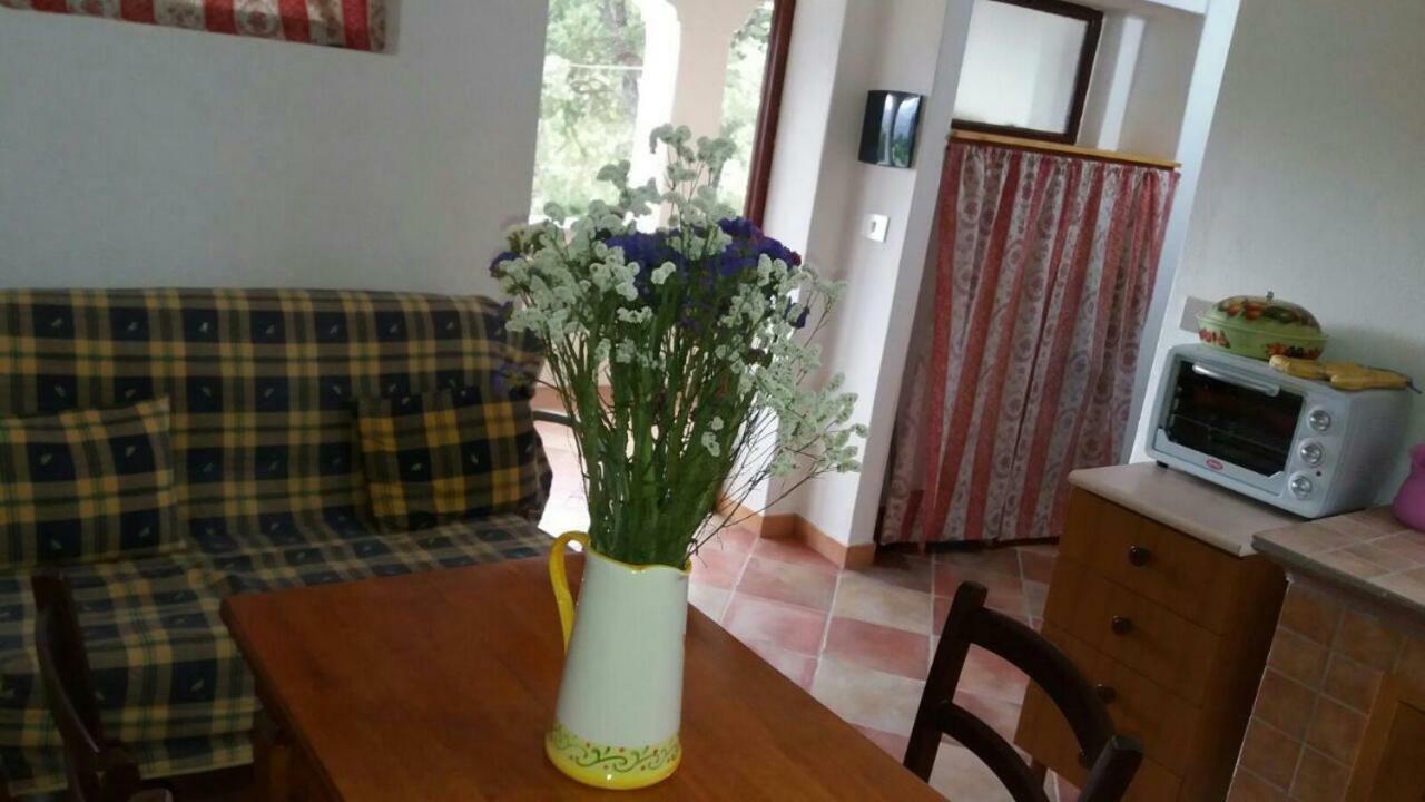 Pensjonat Casa Lucia Campagna Relax Dorgali Zewnętrze zdjęcie